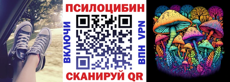 Галлюциногенные грибы Magic Shrooms  где купить наркоту  Велиж 